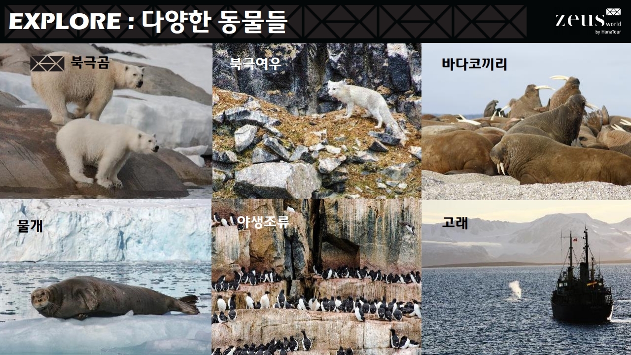 북극상품 설명회자료_배포용_20190114[1].pdf_page_09.jpg